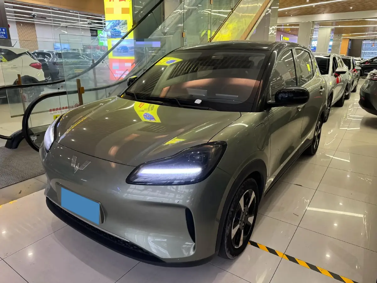 2024 WuLing BinGuoPLUS BEV 50.6KWH