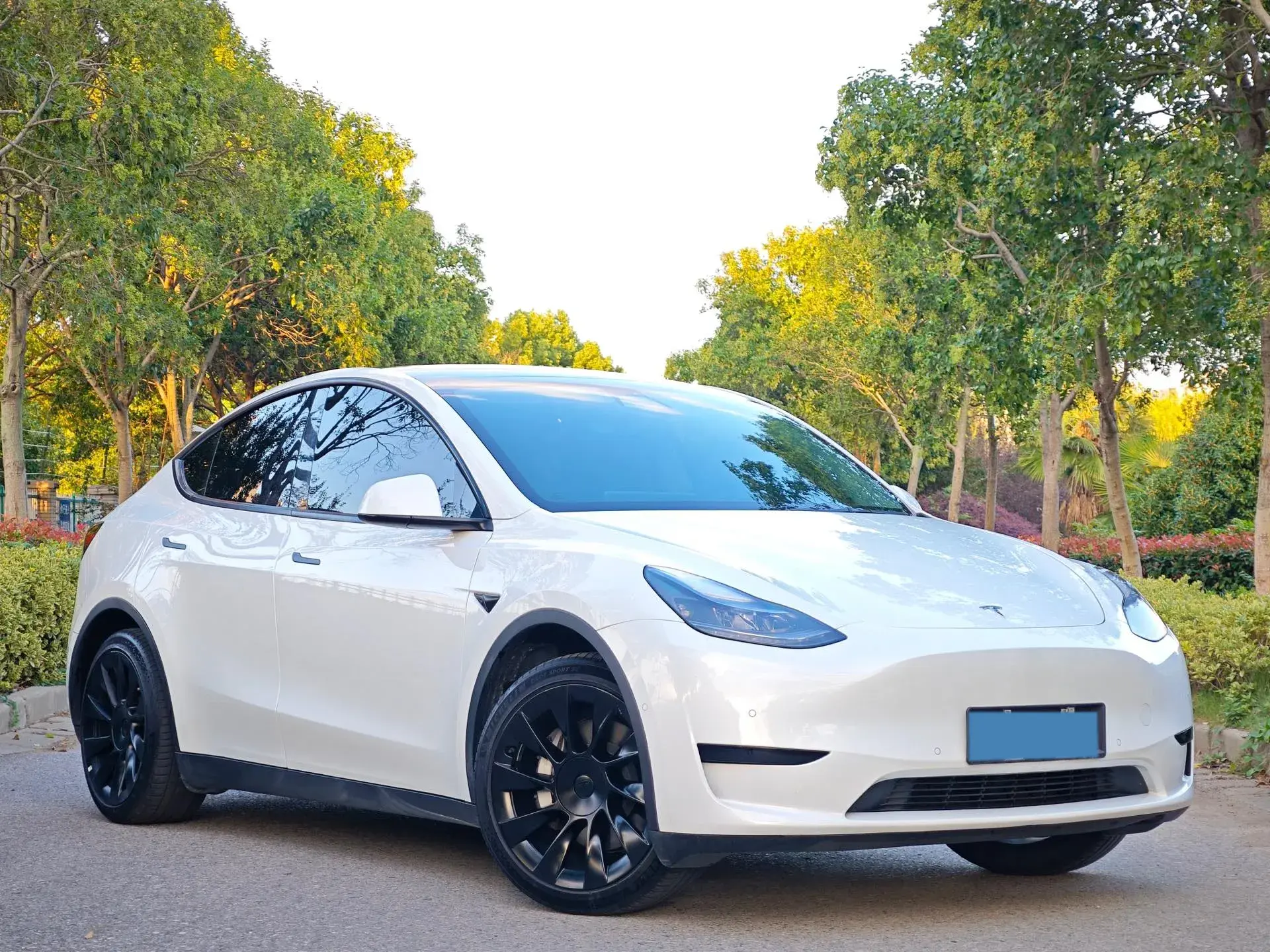 2022 TESLA MODEL thumbnail 3