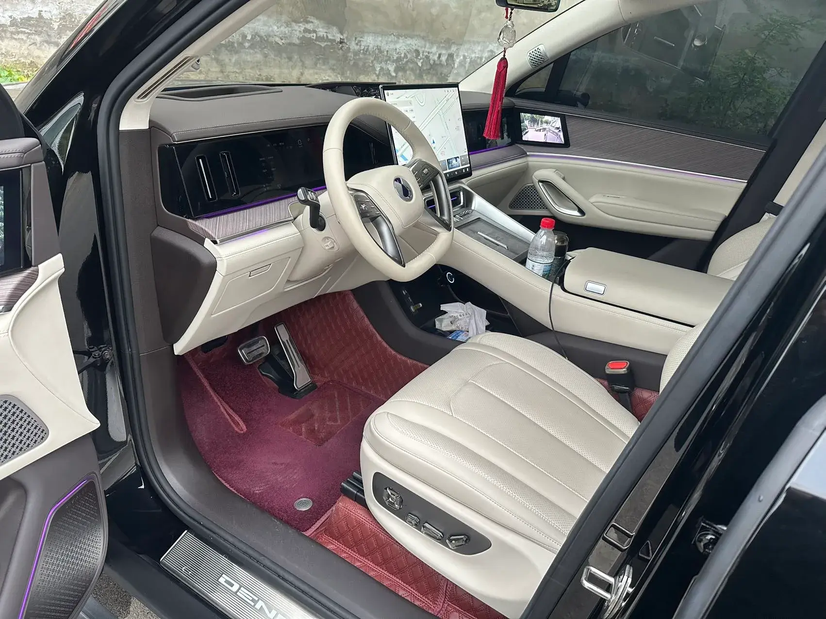 2025 DENZA DENZAN9 thumbnail 2