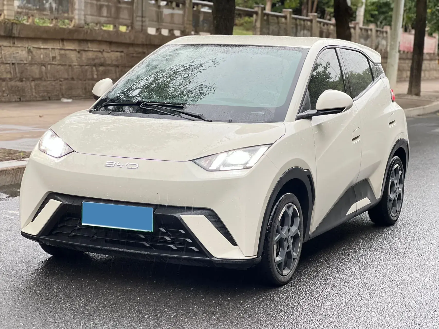 2025 BYD SEAGULL view 1