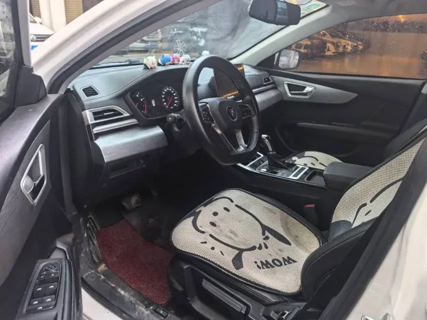 2019 BYD QIN thumbnail 3