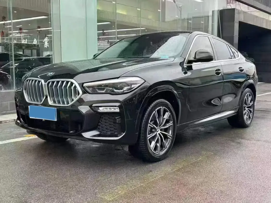 2021 BMW X6 view 1