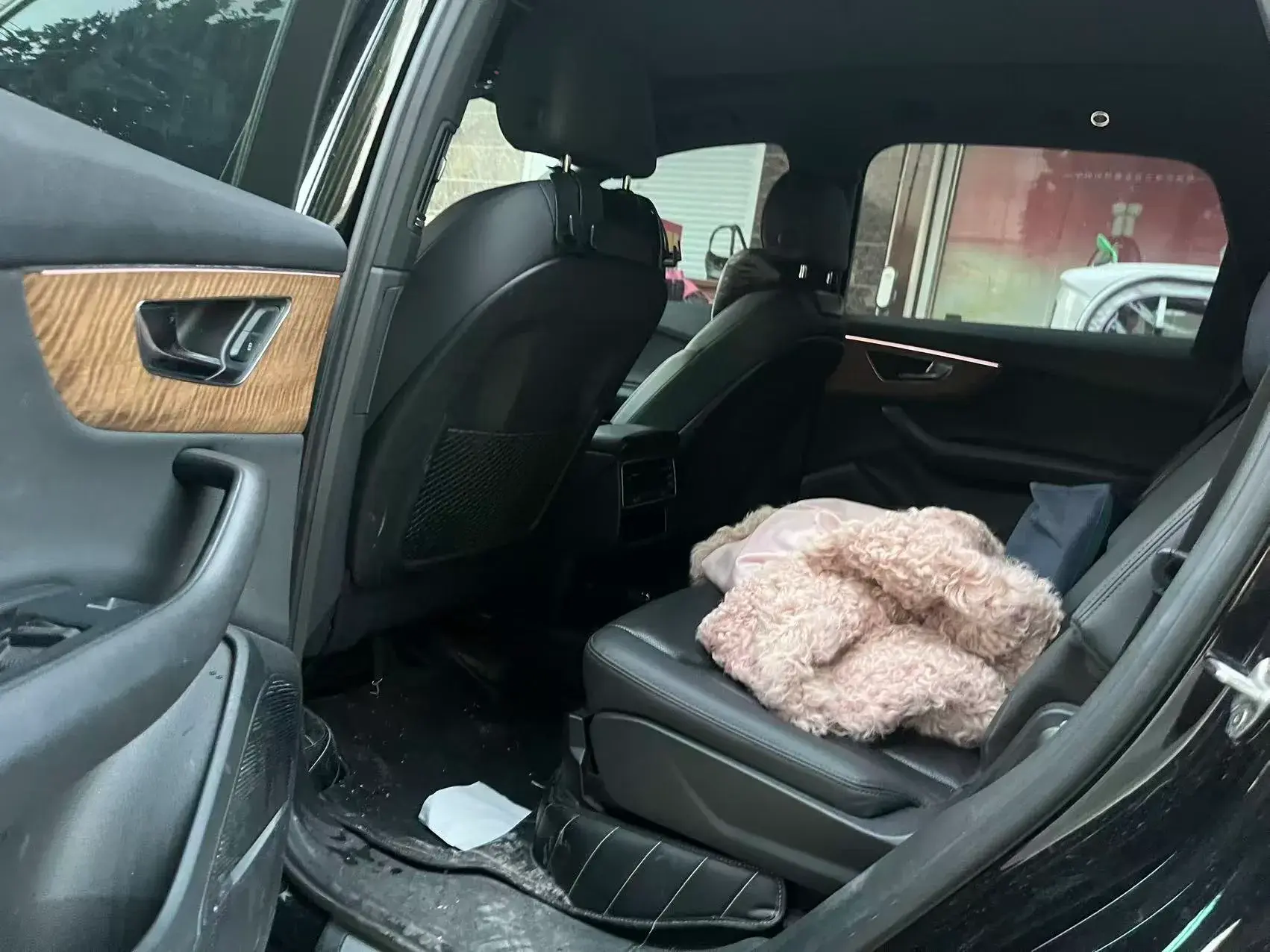 2022 AUDI Q7 thumbnail 3