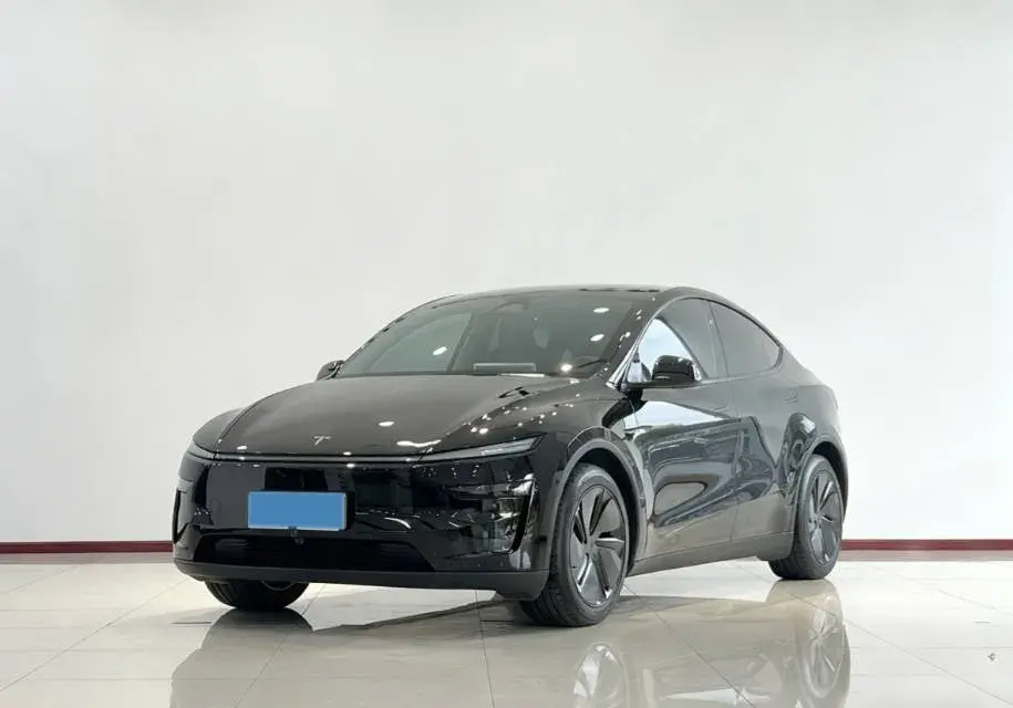2025 TESLA MODEL view 1