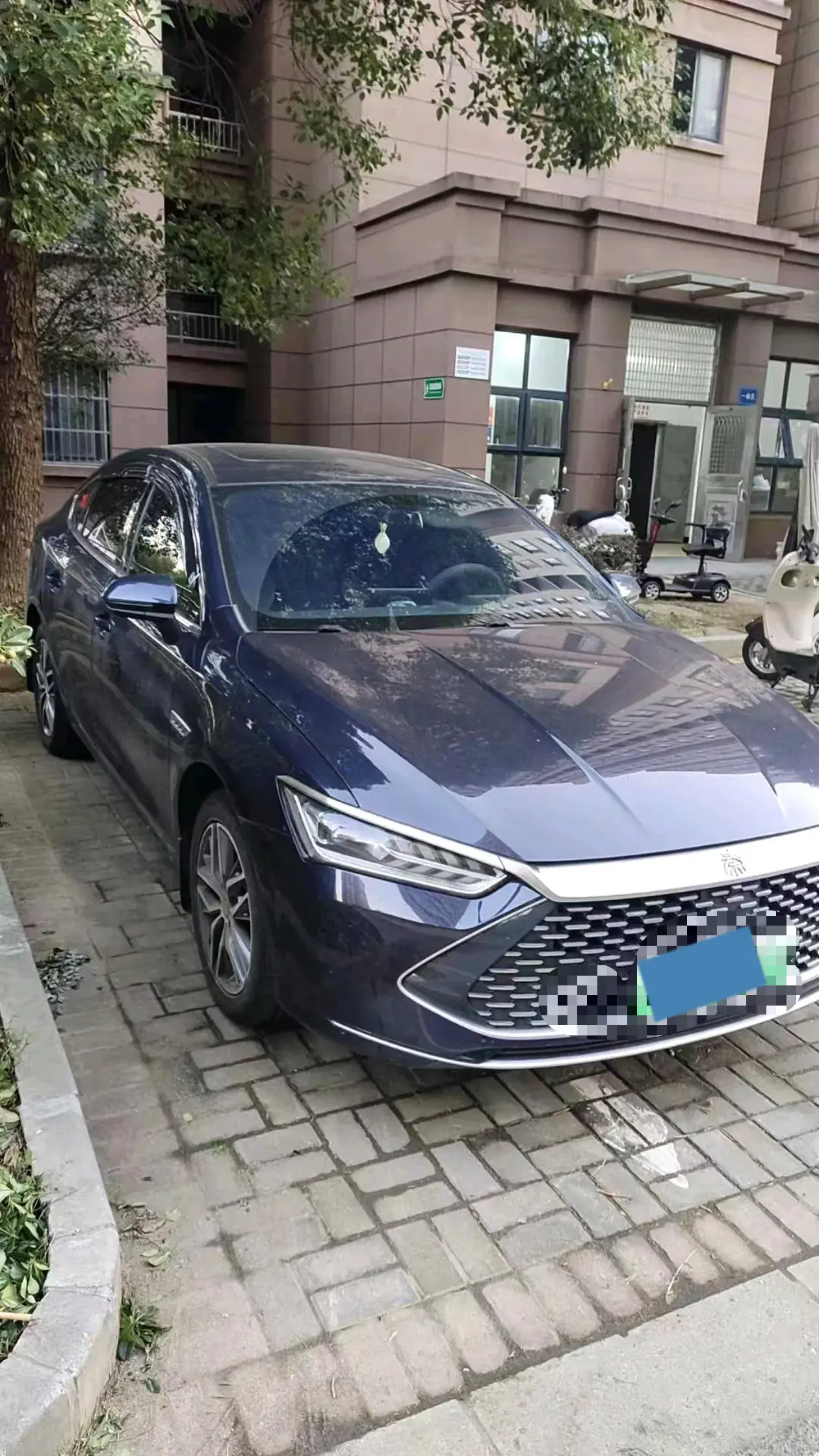 2023 BYD QIN thumbnail 2