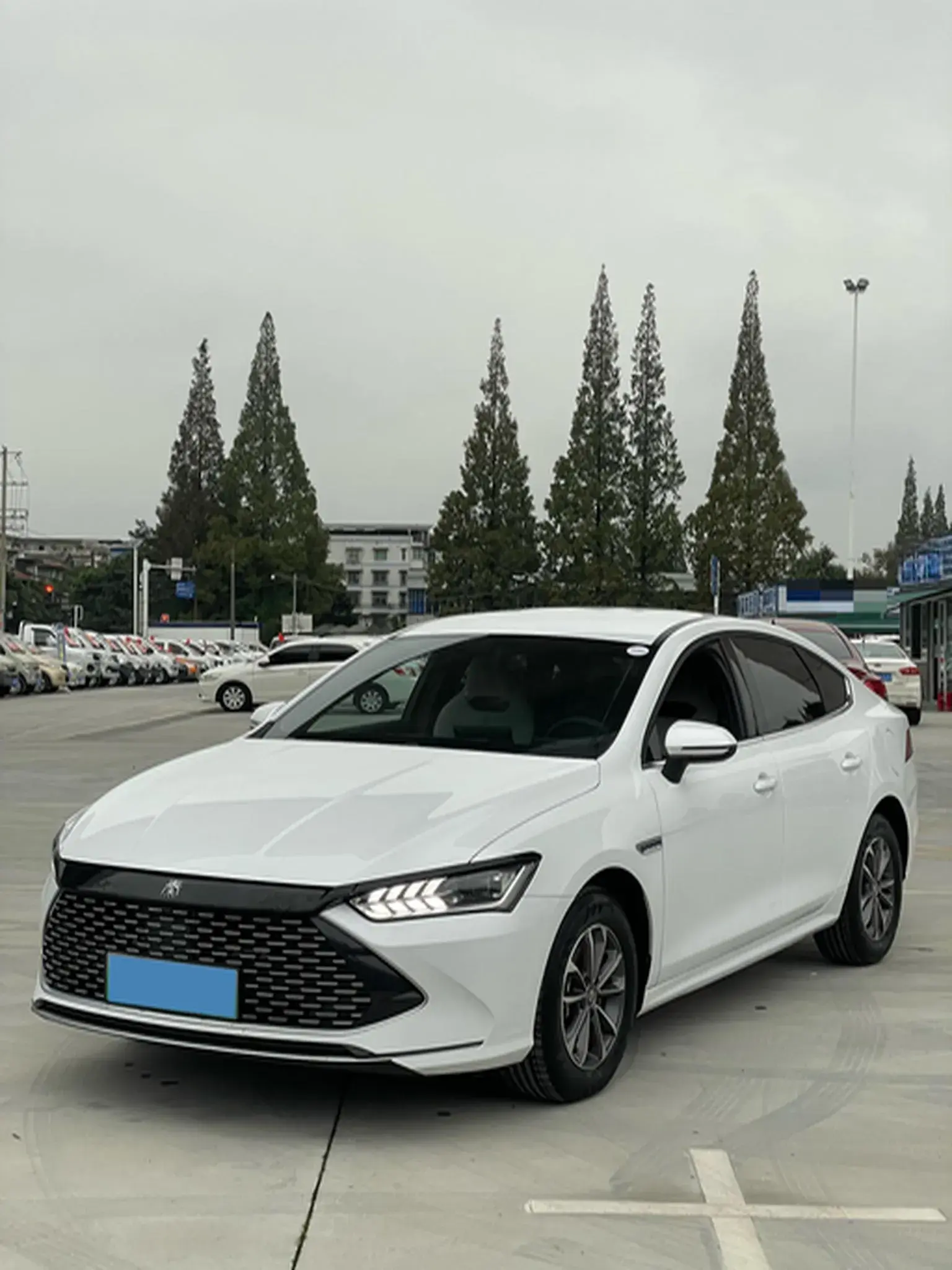 2024 BYD QIN view 1