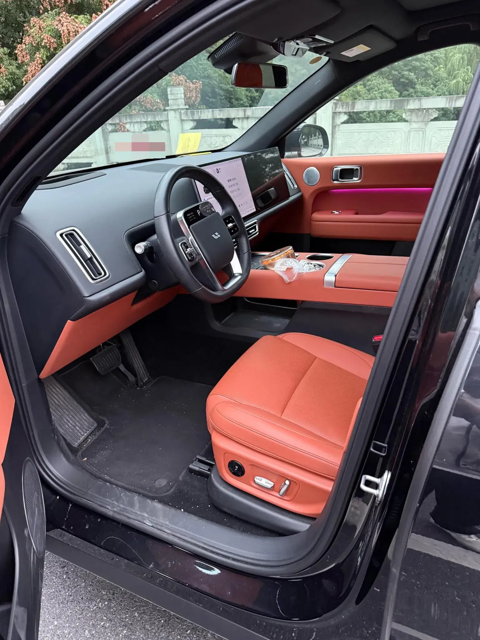 2024 LI L6 thumbnail 2