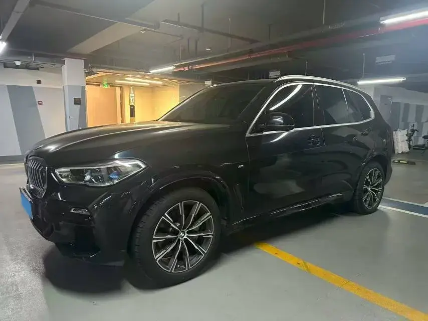 2021 BMW X5 view 1