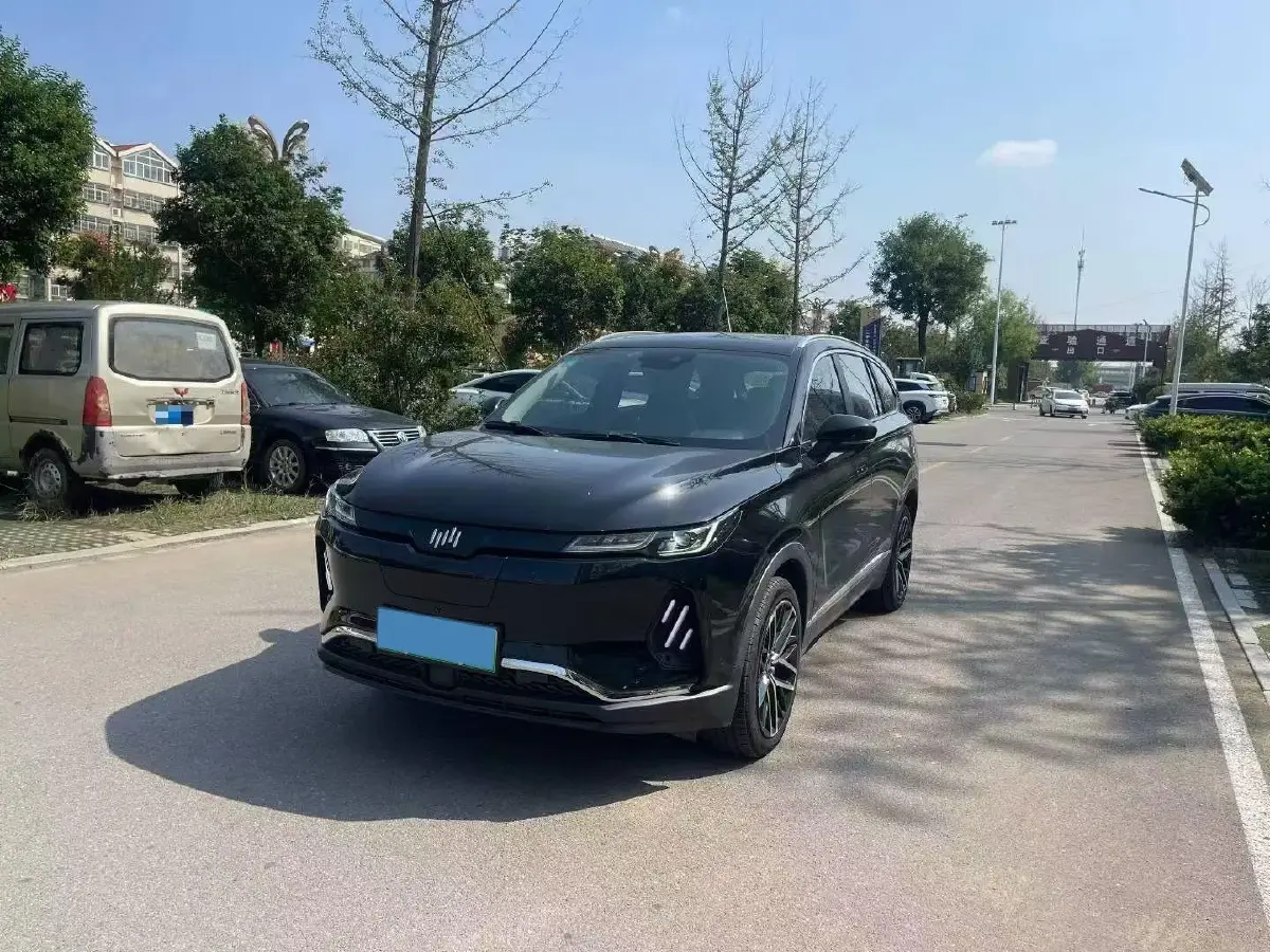2020 Weltmeister EX6 BEV 69KWH