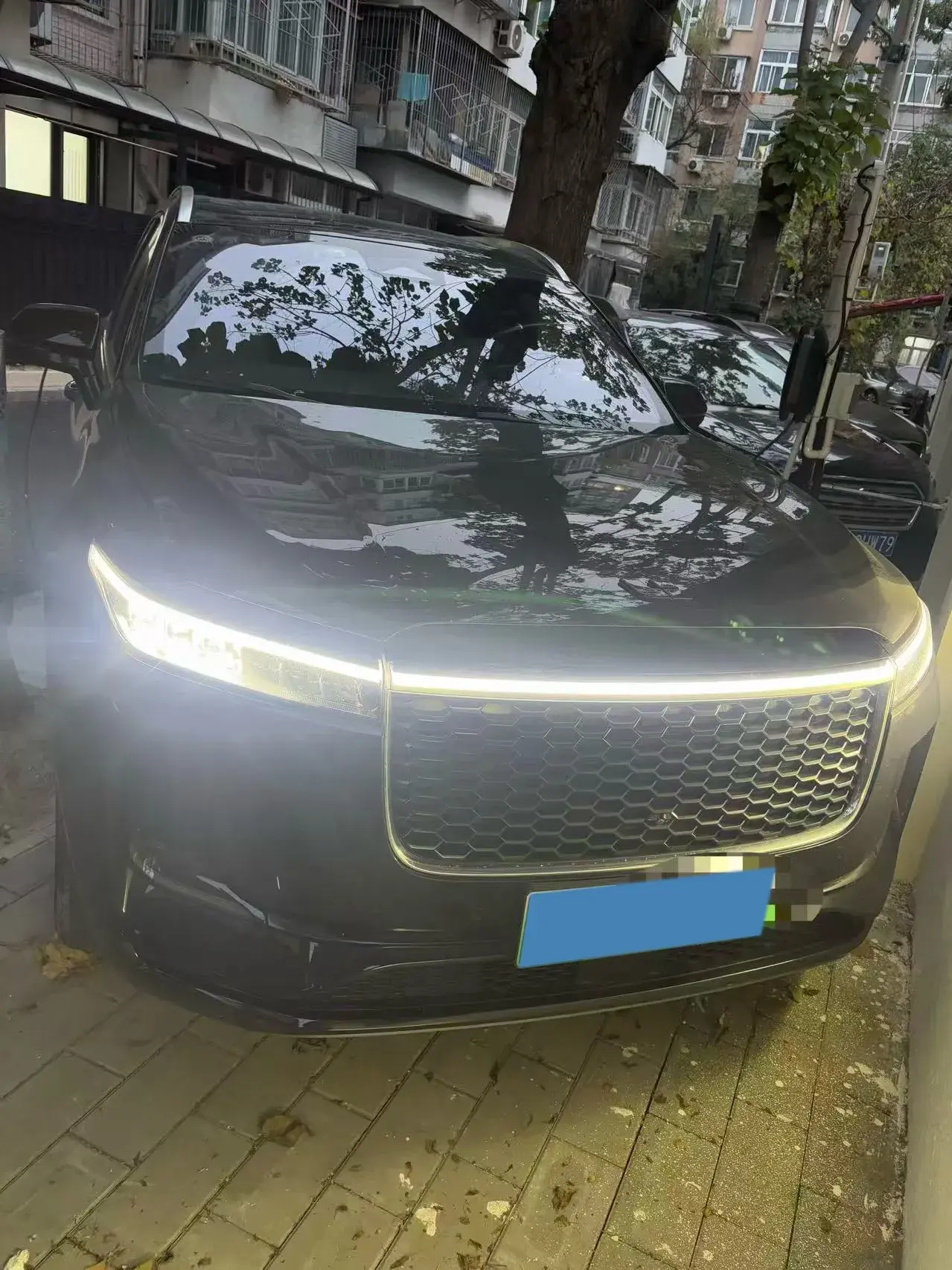 2021 LI ONE thumbnail 2