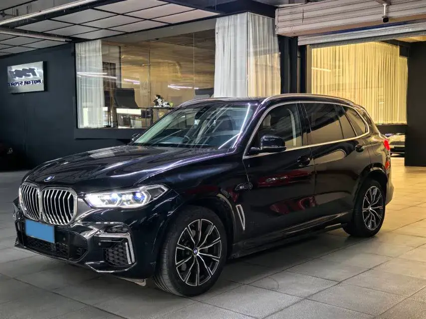 2022 BMW X5 view 1