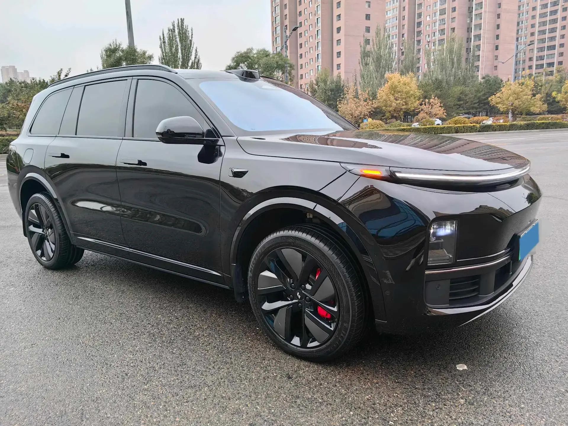 2022 LI L9 thumbnail 3