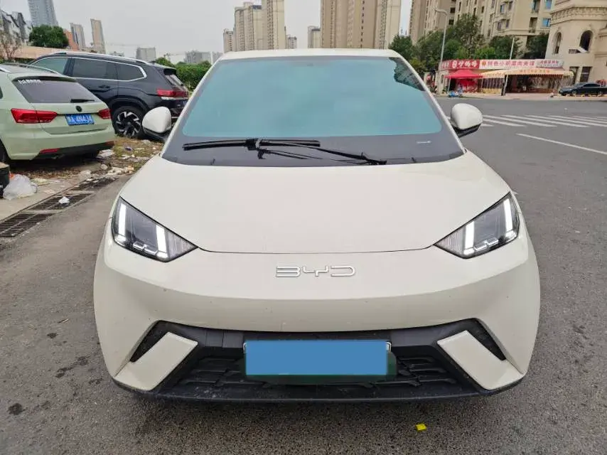 2024 BYD SEAGULL thumbnail 2