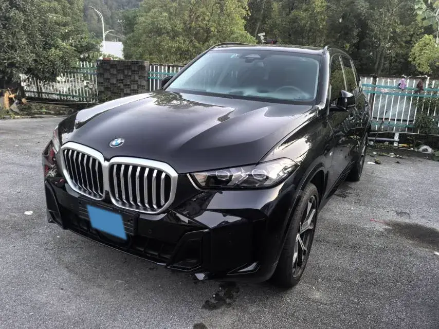 2023 BMW X5 view 1