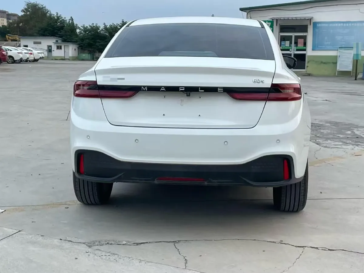 2022 Livan Maple 60s BEV 51.8KWH,autocango,china used car exporter,china ev exporter,chinese used car exporter,chinese used ev exporter