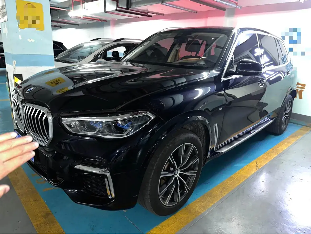 2022 BMW X5 view 1