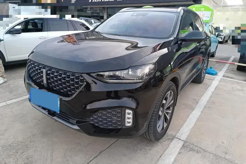 2020 WEY VV6 view 1
