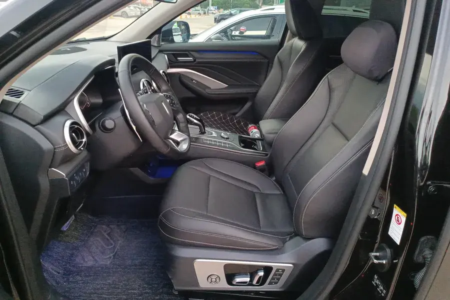 2020 WEY VV6 thumbnail 2