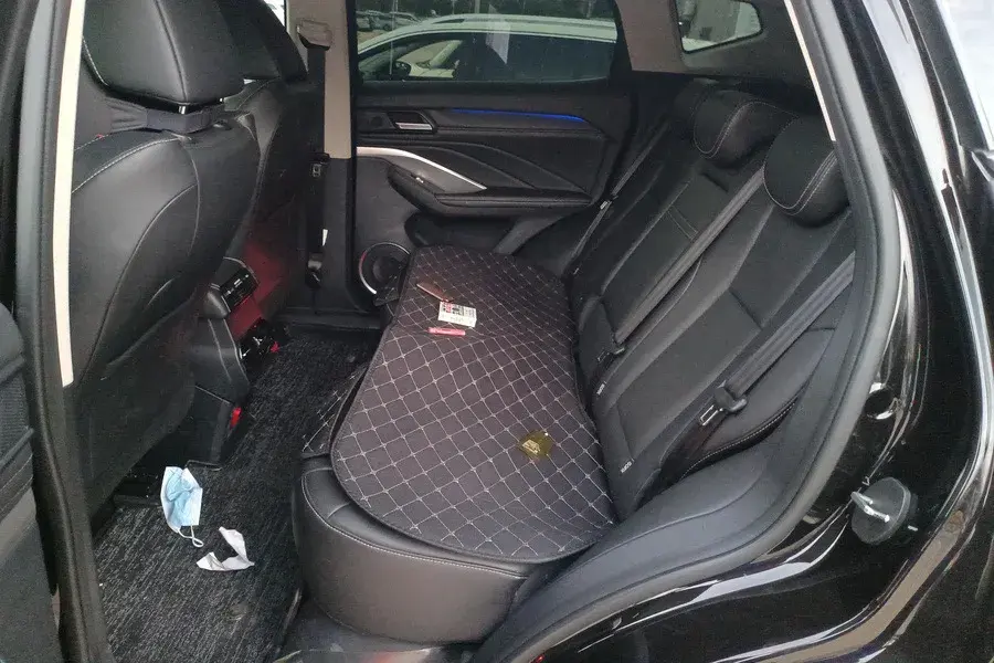 2020 WEY VV6 thumbnail 4