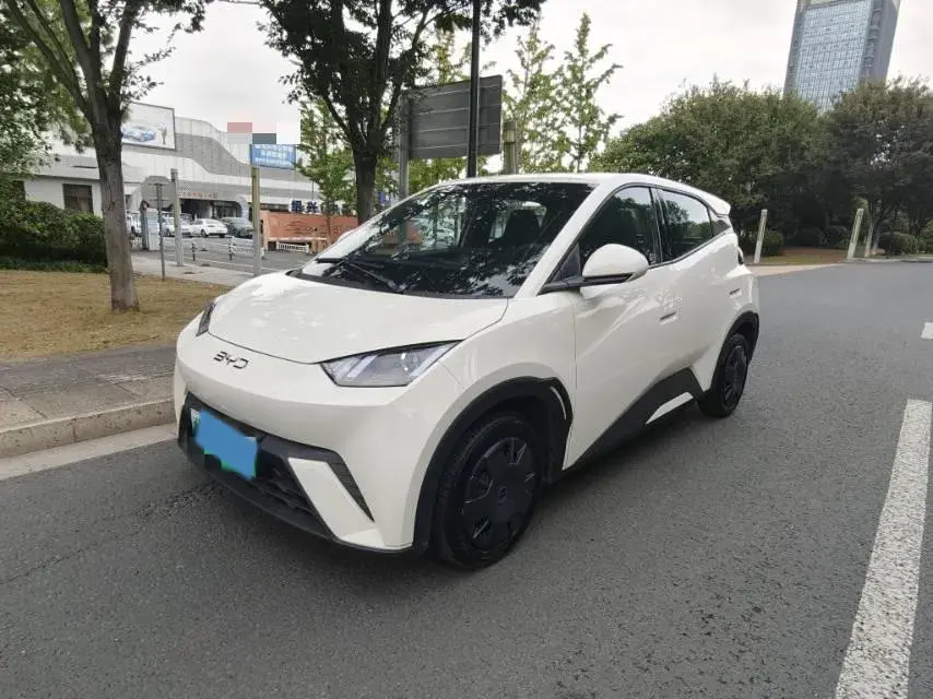 2025 BYD SEAGULL view 1