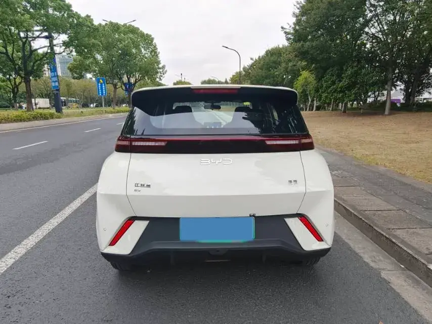 2025 BYD SEAGULL thumbnail 4