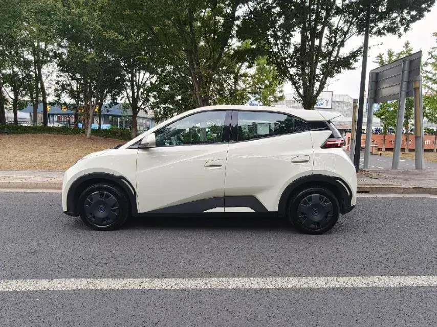 2025 BYD SEAGULL thumbnail 3