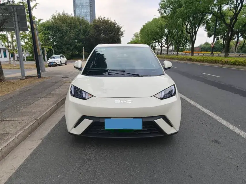 2025 BYD SEAGULL thumbnail 2