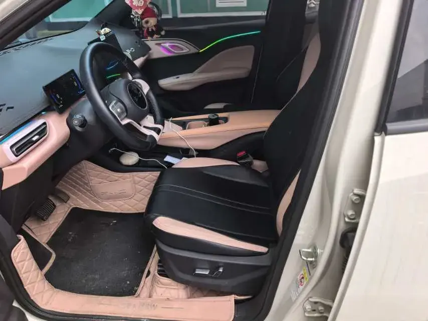 2025 BYD SEAGULL thumbnail 2