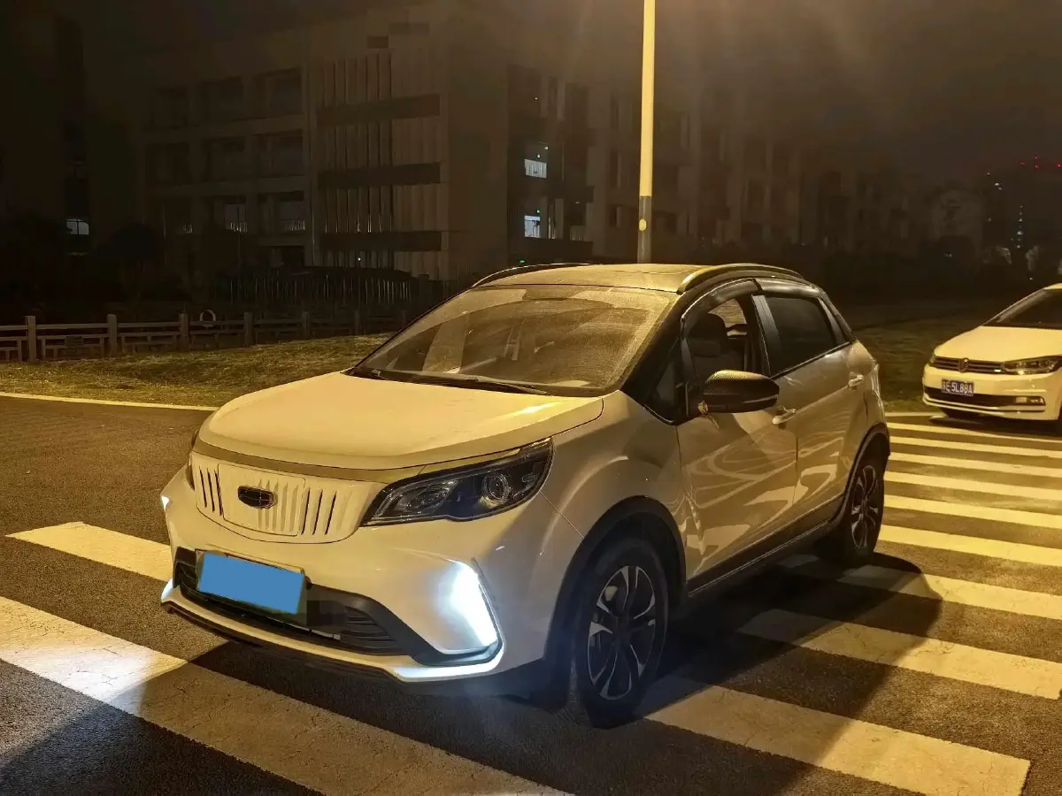 2021 Geometry EX3 BEV 37.23KWH