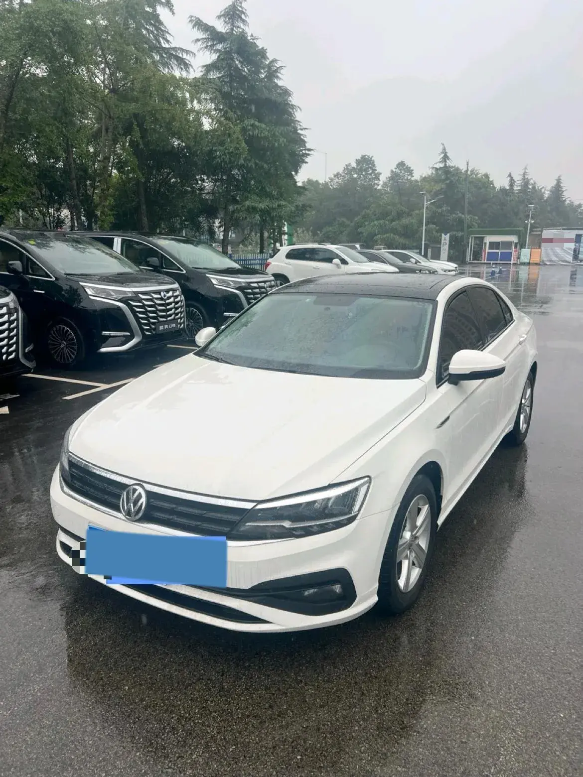 2019 VOLKSWAGEN LAMANDO view 1