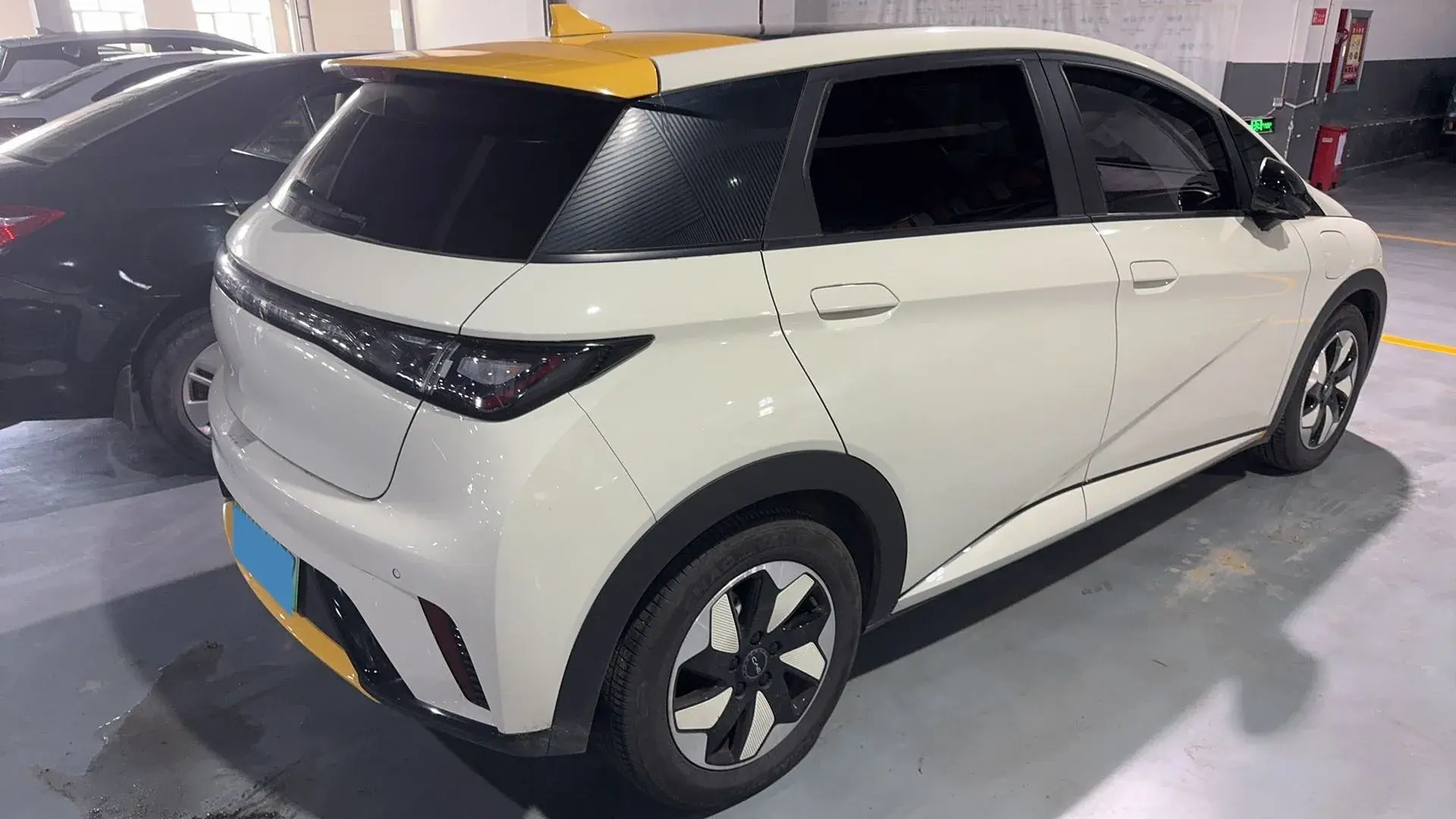 2024 BYD DOLPHIN thumbnail 3