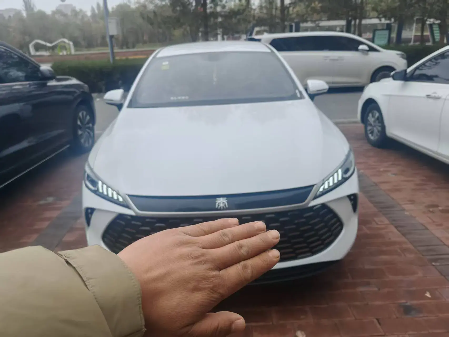 2025 BYD QIN thumbnail 2