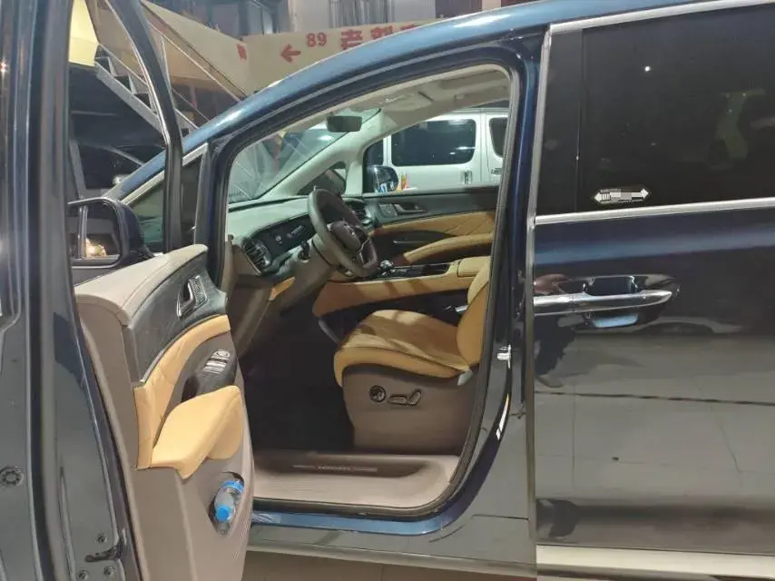 2022 DENZA D9 thumbnail 4