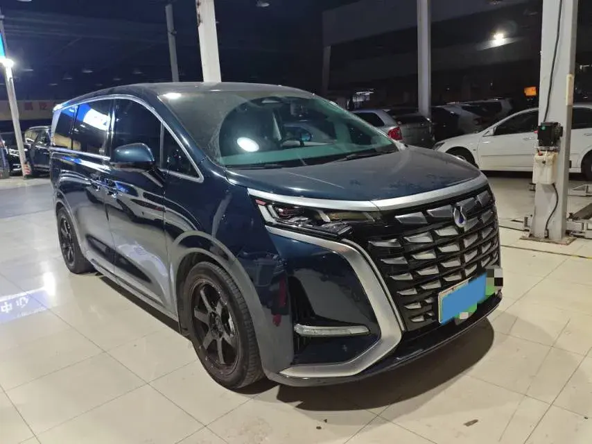 2022 DENZA D9 thumbnail 2