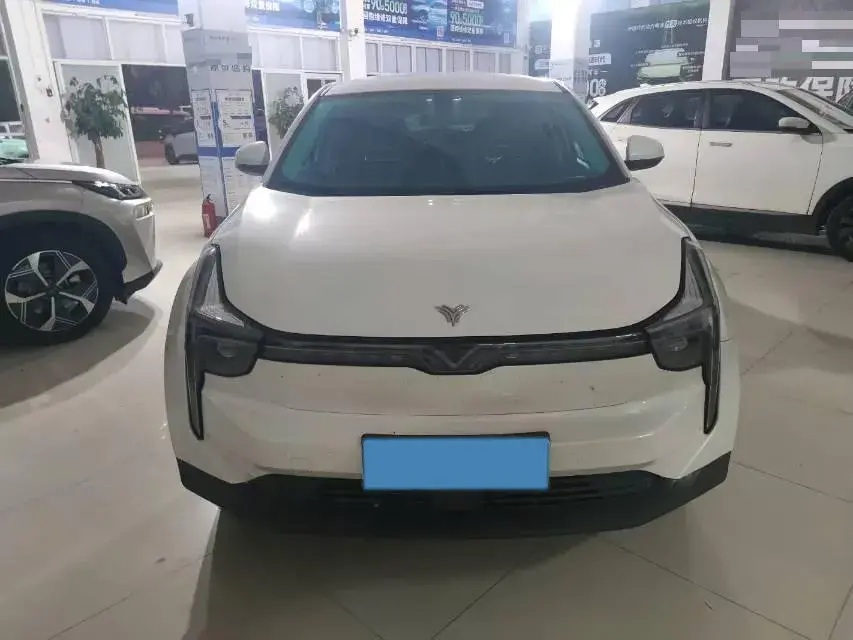 2021 NETA U thumbnail 3