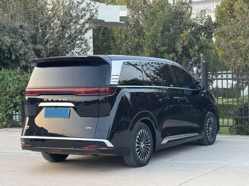 2022 DENZA D9 thumbnail 4
