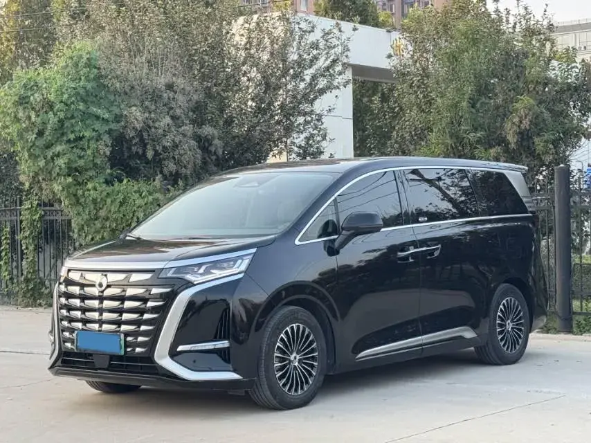 2022 DENZA D9 view 1