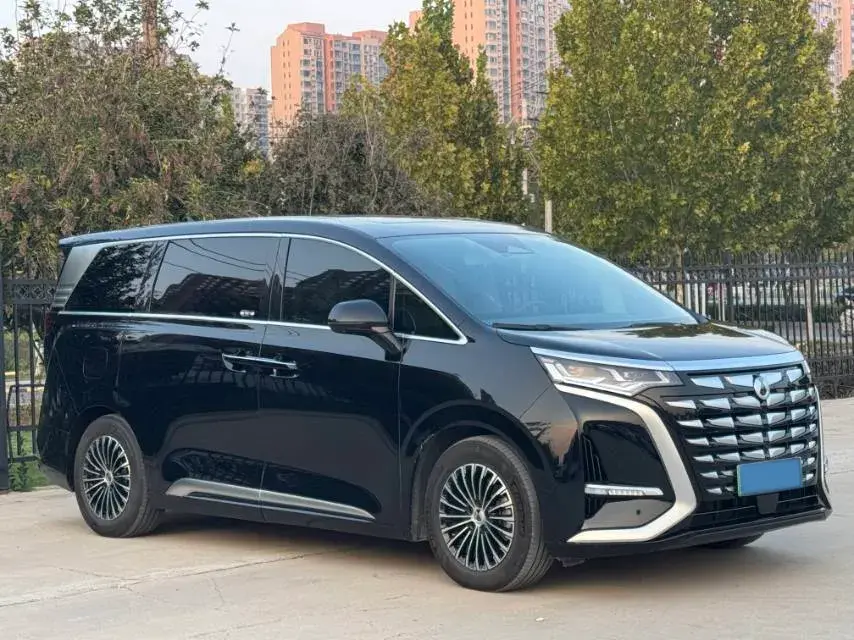 2022 DENZA D9 thumbnail 3