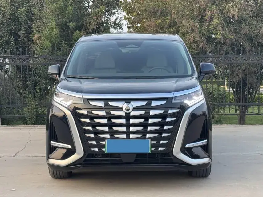 2022 DENZA D9 thumbnail 2