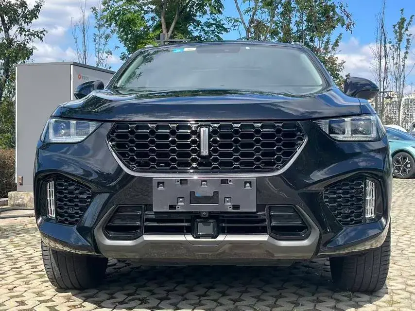 2019 WEY VV5 thumbnail 2