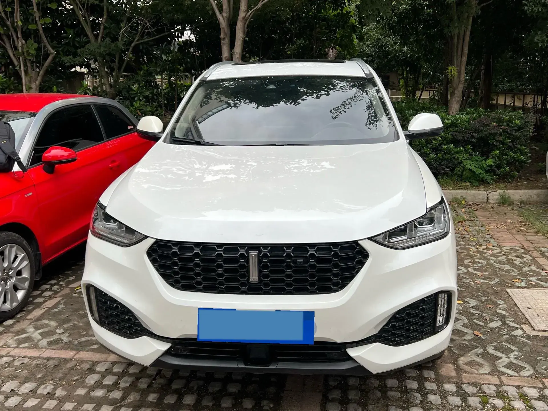 2018 WEY VV6 thumbnail 2