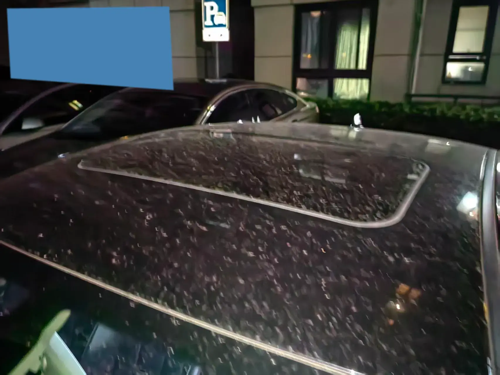 2019 HONGQI H5 thumbnail 2