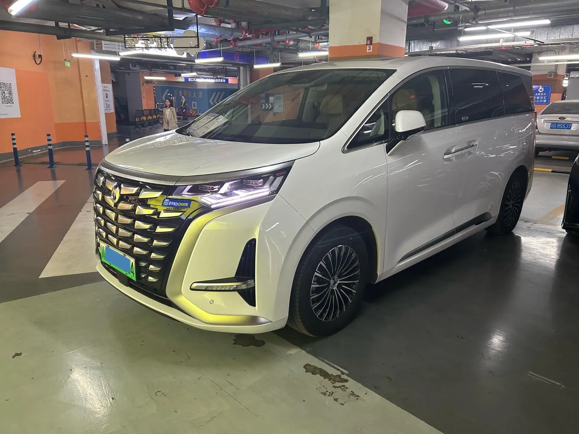 2022 DENZA D9 view 1