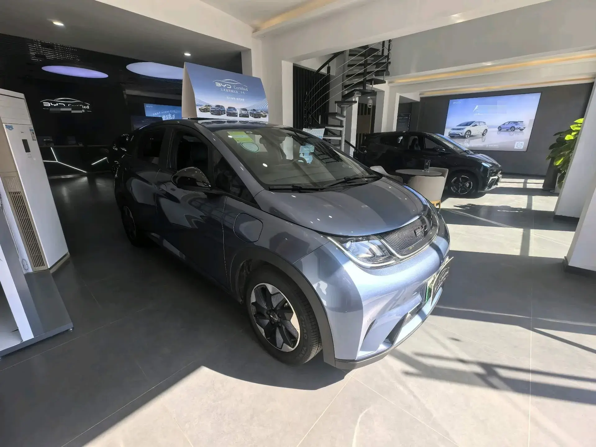 2024 BYD DOLPHIN thumbnail 3