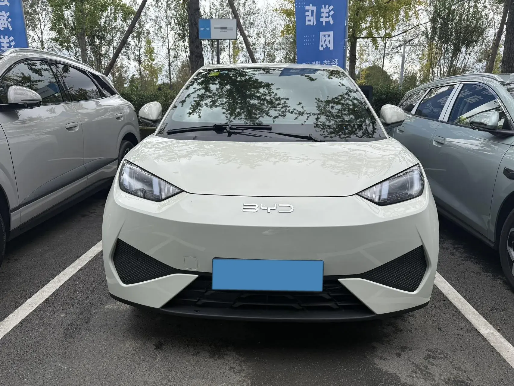 2025 BYD SEAGULL thumbnail 2