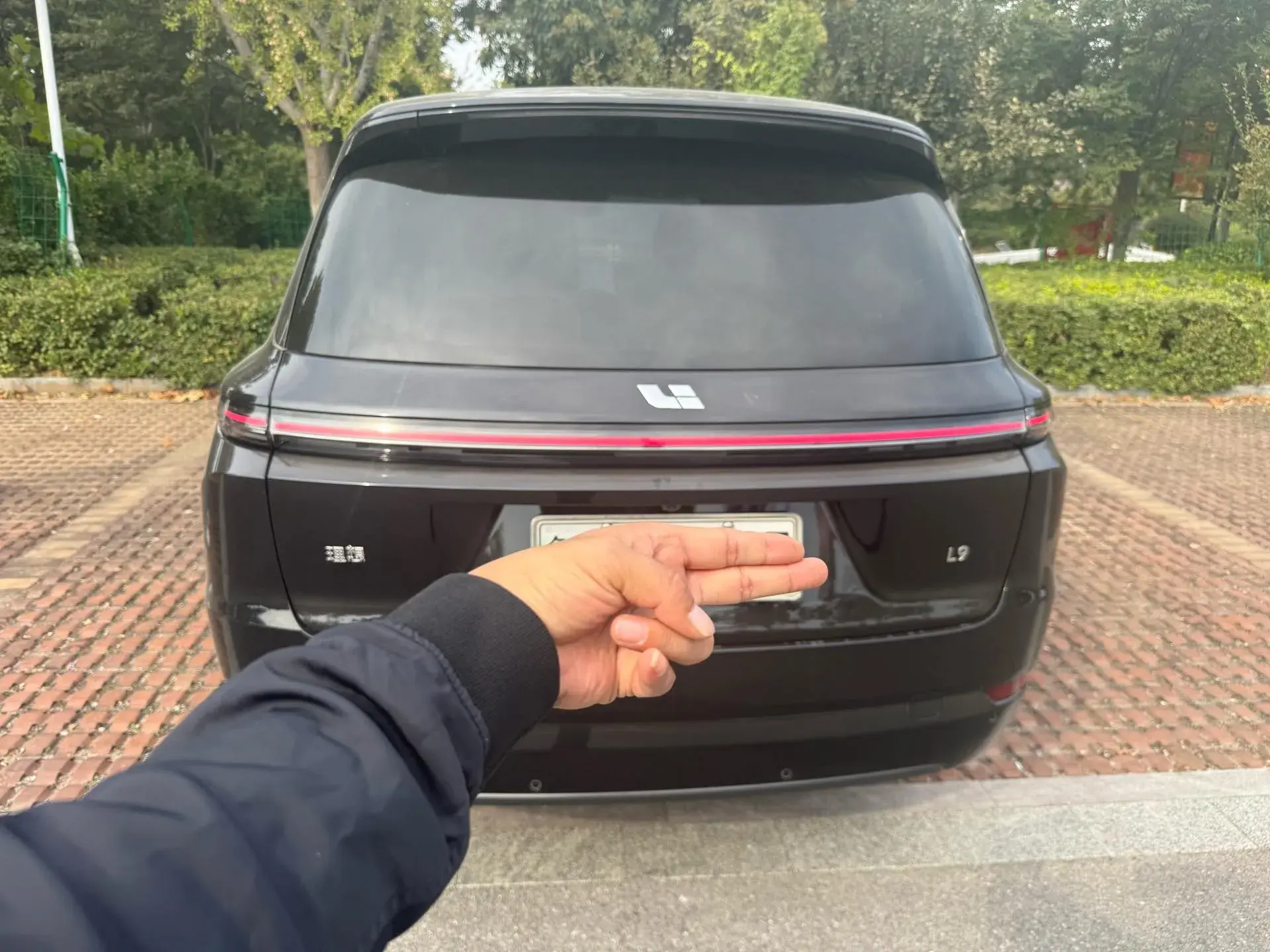 2024 LI L9 thumbnail 4