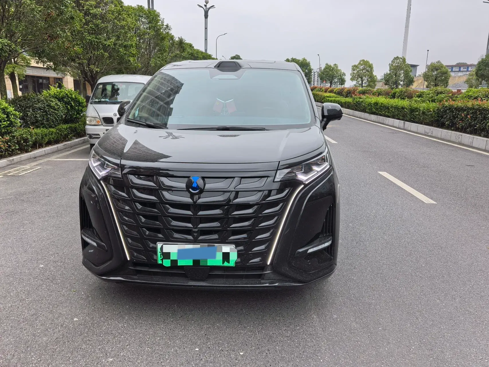 2025 DENZA D9 thumbnail 2