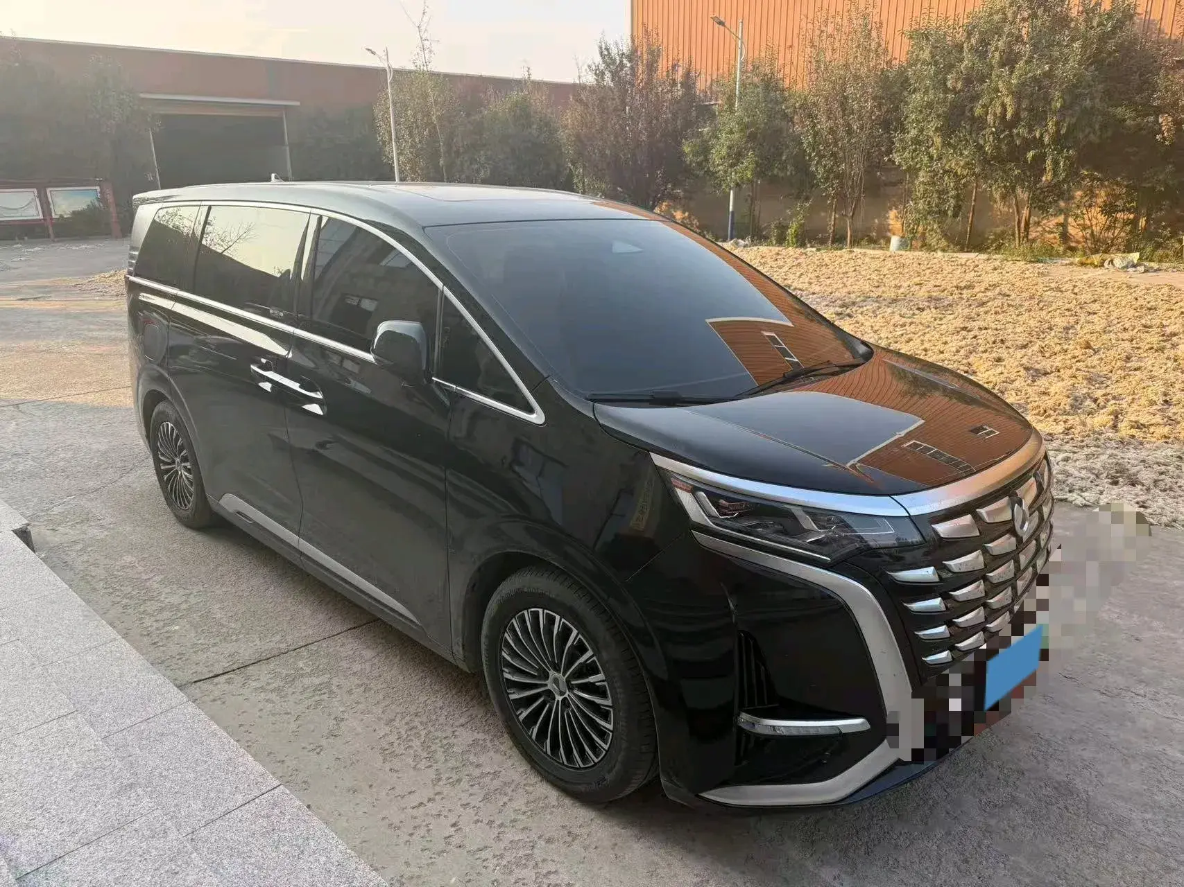 2024 DENZA D9 thumbnail 2