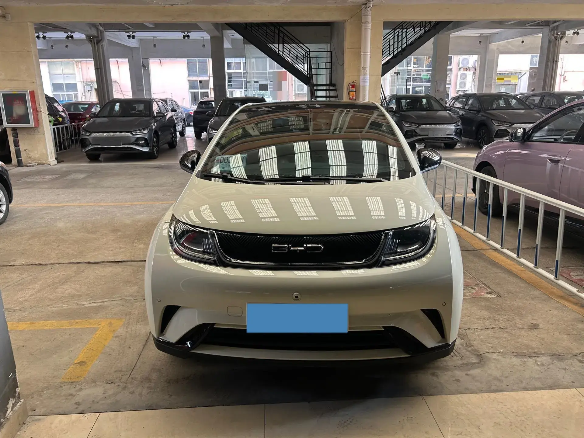 2023 BYD DOLPHIN thumbnail 2