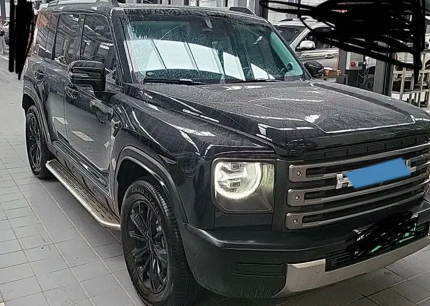 2024 HAVAL RAPTOR thumbnail 2